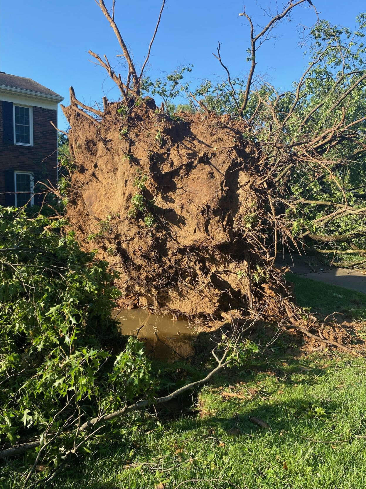 STORM - LOUISVILLE - MURRAY HILL NEIGHBORHOOD OFF GOOSE CREEK - DIANNA BOGGS - 6-26-2023  (1).jpg
