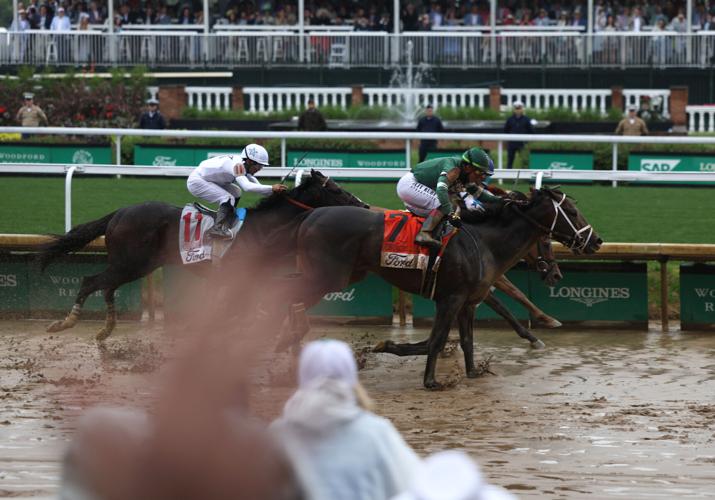 Horses during a day race May 3.JPG