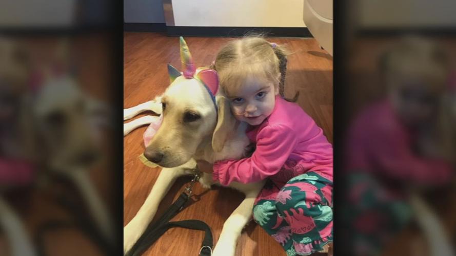 Norton hospital dog child hug