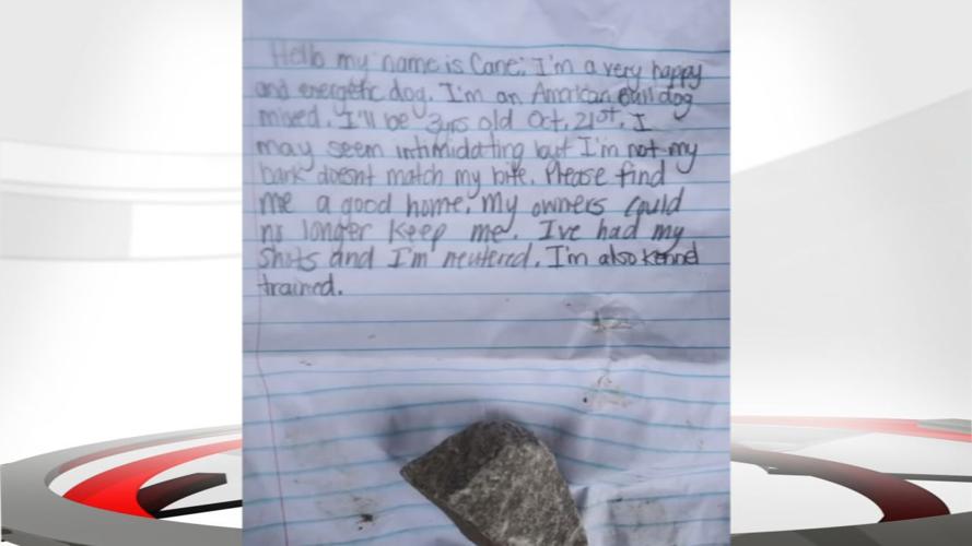 DOG LEFT OUTSIDE SHELTER DIES 5pVO