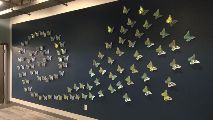 DONATE LIFE BUTTERFLY WALL