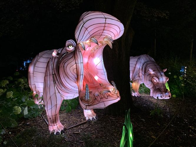 ASIAN LANTERN FESTIVAL - LOUISVILLE ZOO - KEITH KAISER - 7-15-2020  (14).JPG