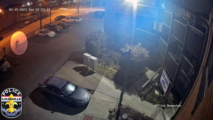 Surveillance video of alleged suspect in Jan. 15, 2023 hit-and-run