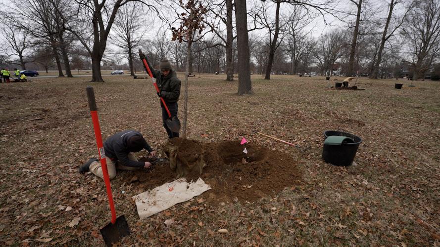 Mayor Tree Planing 5.jpg