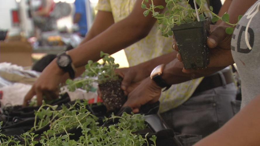 People working at Green Wall Build in Park DuValle