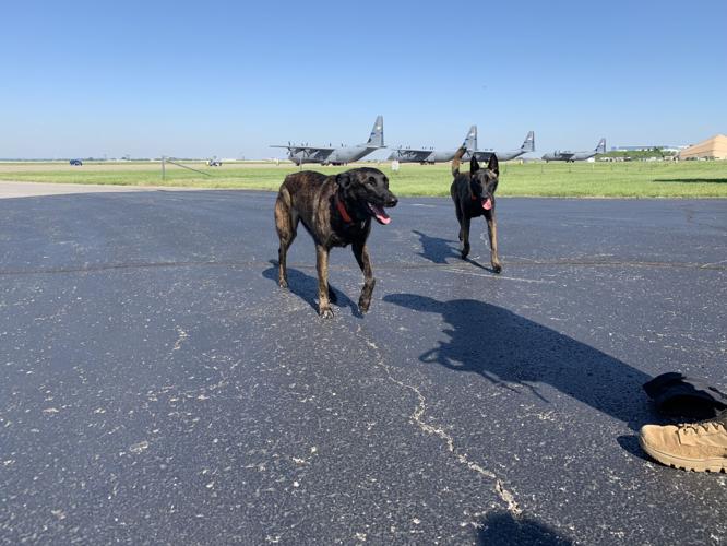 Kentucky Air National Guard Search and Rescue K-9 Callie, Pits
