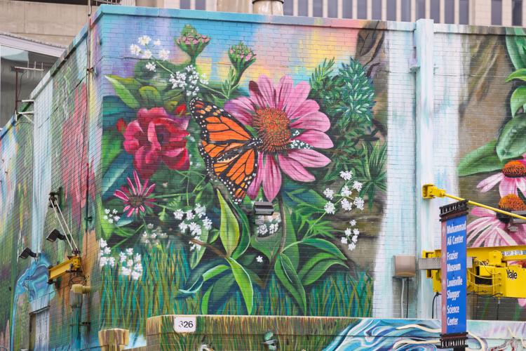 Butterfly mural in downtown Louisville.JPG