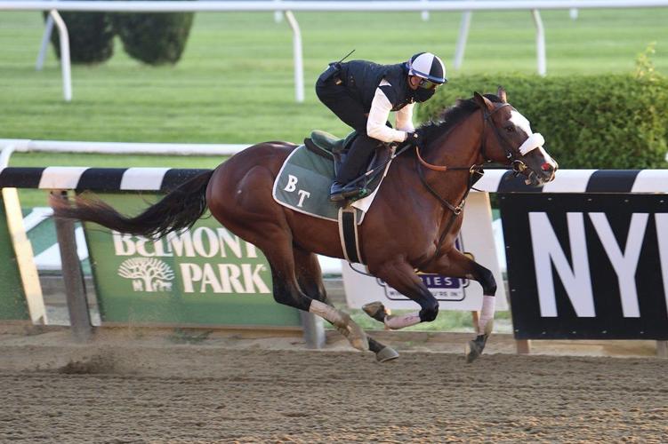 BELMONT STAKES PREVIEW - TIZ THE LAW AP 3.jpeg