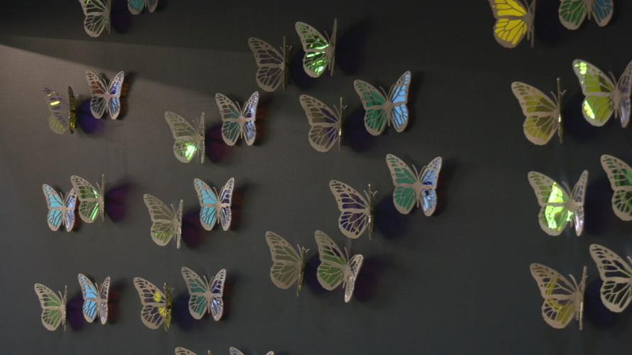 DONATE LIFE BUTTERFLY WALL
