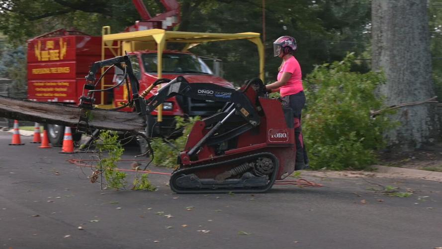ZACHARY TAYLOR ARBORISTS (3).jpeg