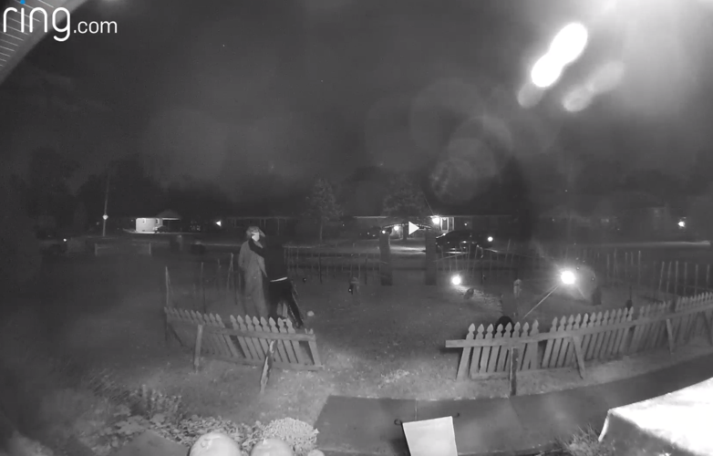 Person takes Michael Myers head from yard.PNG