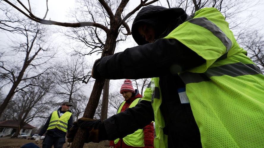 Mayor Tree Planing 6.jpg