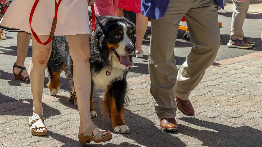 OAKS DAY - FASHION AND CROWDS - CRAWFORD 5-5-2023 (4).jpg