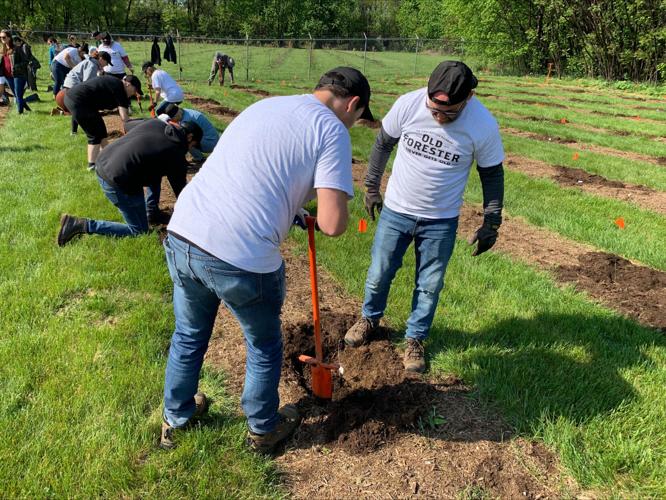 OLD FORESTER TREE PLANTING - 4-18-2023 (4).jpeg
