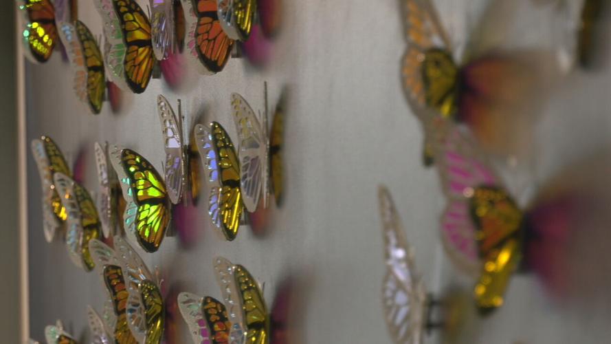 DONATE LIFE BUTTERFLY WALL