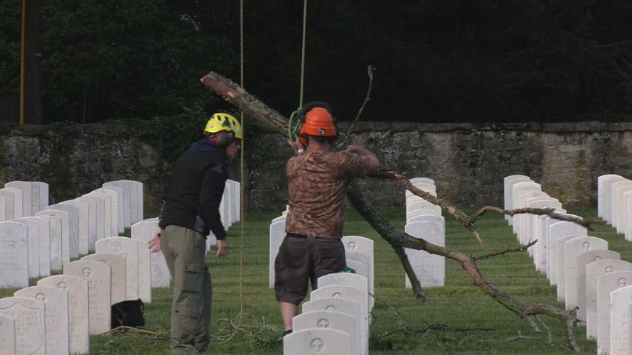 ZACHARY TAYLOR ARBORISTS (2).jpeg