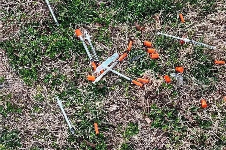 Needles at the park 2.jpg