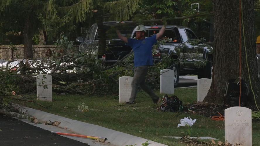 ZACHARY TAYLOR ARBORISTS (1).jpeg