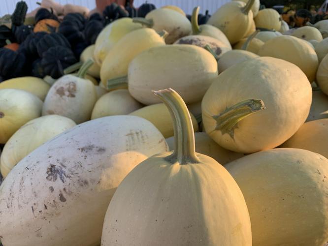 Huber's Orchard and Winery (22).JPG