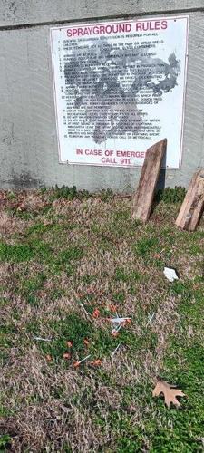 Needles at the park 6.jpg