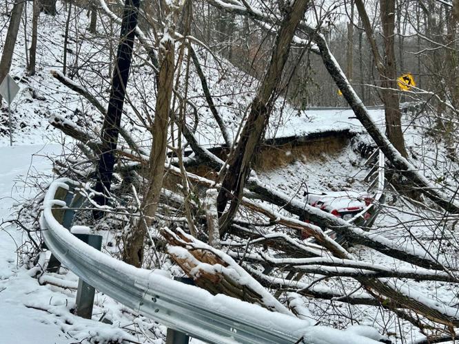 Tree damage in Louisville - Feb. 18, 2025.jpg