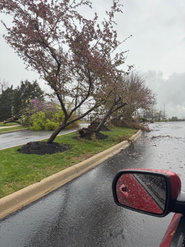Storm damage at Blankenbaker Crossings