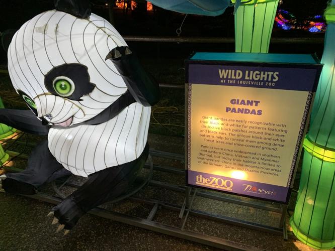 Wild Lights at Louisville Zoo
