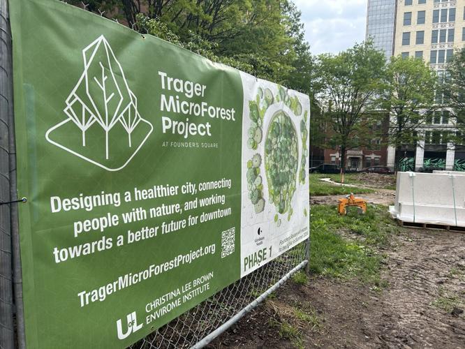 Trager MicroForest Project.jpg