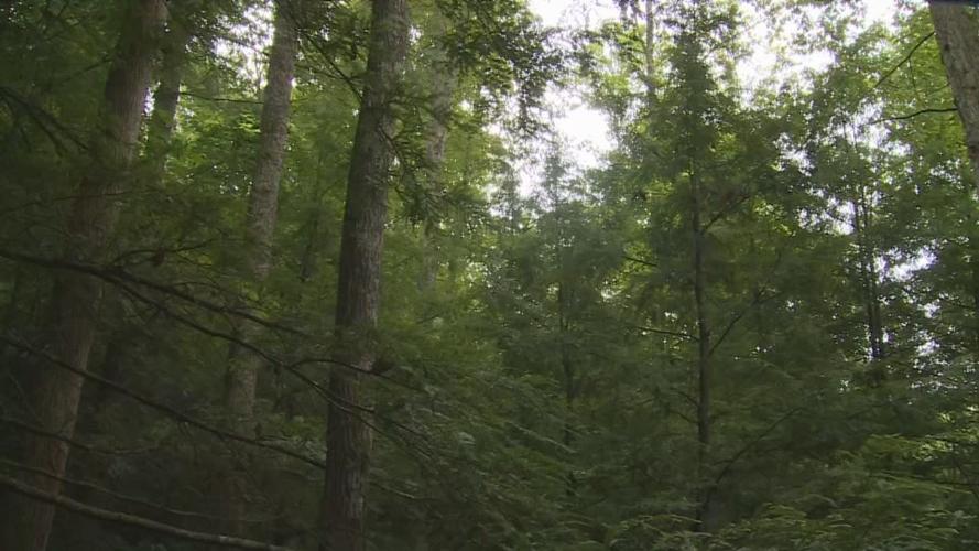 Red River Gorge