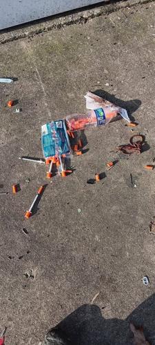 Needles at the park 5.jpg