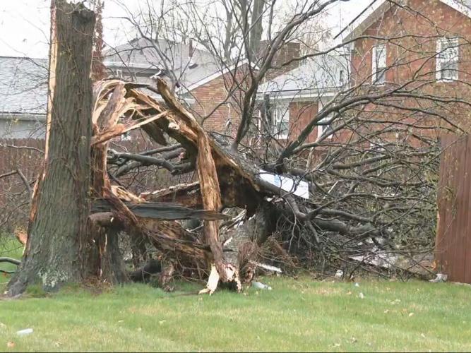 Tree down-Storm damage-Fern Valley Road 4-5-23