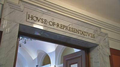 Longtime state Rep. Horlander ousted in Democratic primary