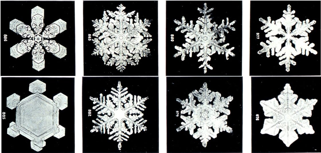 HOW DO SNOWFLAKES FORM? Get The Science Behind Snow... | Weather Blog ...