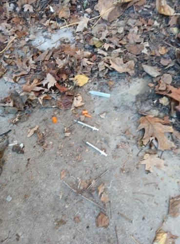 Needles at the park 4.jpg