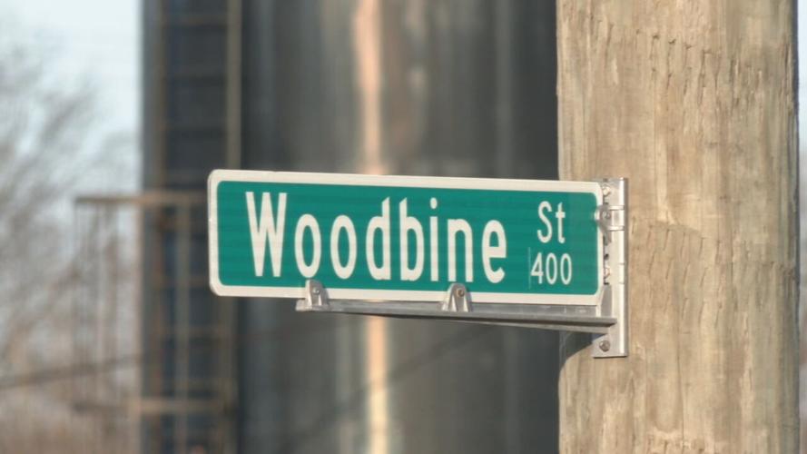 Woodbine shooting (1).jpeg