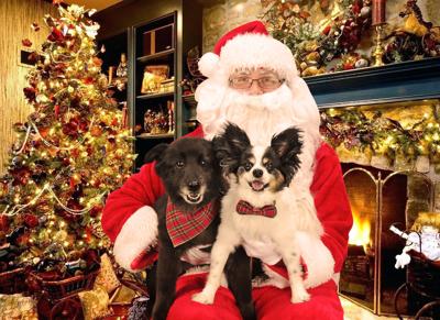 Picture Your Pets With Santa Set For First 2 Weekends In December