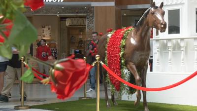 SDF Kentucky Derby 150 travel 5-1-24