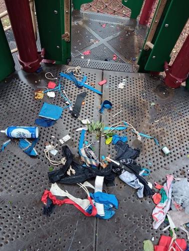 Needles at the park.jpg