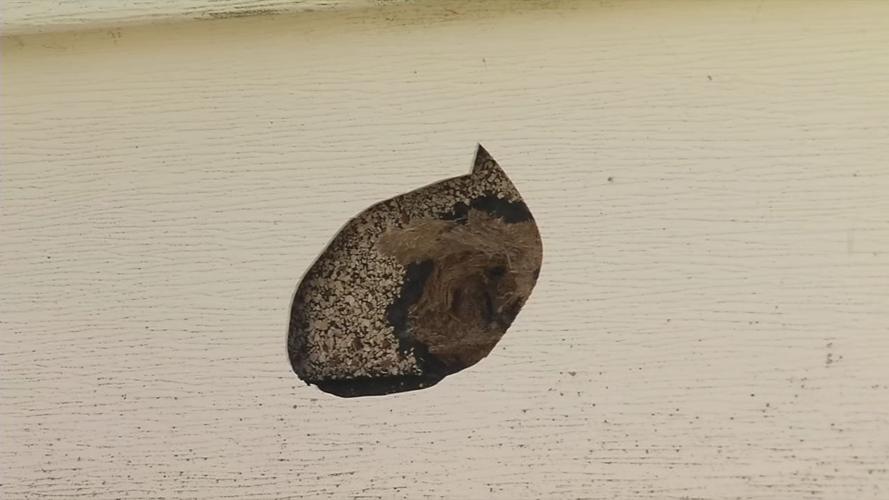 Bullet hole in home after 2-year-old girl hit by stray bullet on Rowan Street - Sept. 26. 2019