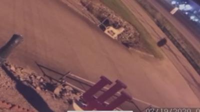 Baby bear in Clarksville 7-19-20.png