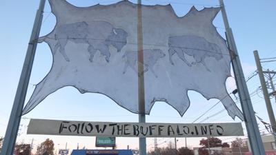 Follow the Buffalo banner