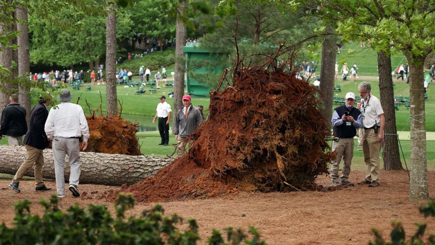 augusta tree fall cnn.jpg