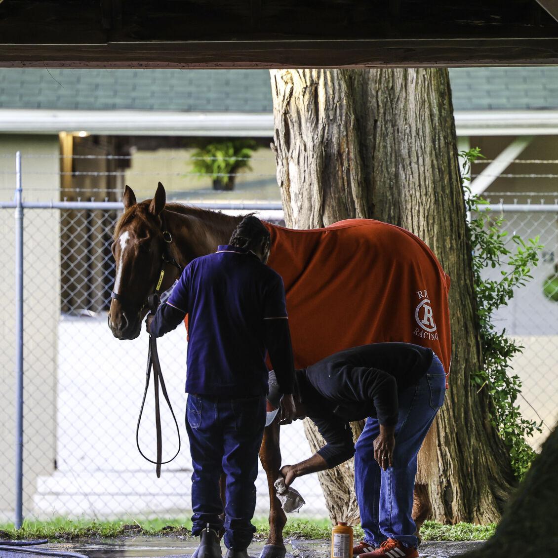 Crawford The Morning After Derby Stunner Rich Strike And Team Still Basking In The Glow Derby 148 Wdrb Com