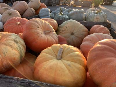 Huber's Orchard and Winery (23).JPG