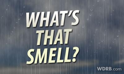 Theories about THAT Smell....