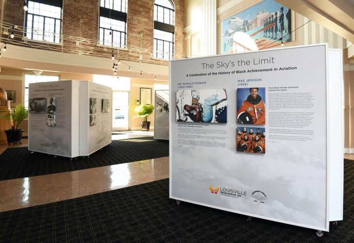 Bowman Field Sky's The Limit exhibit