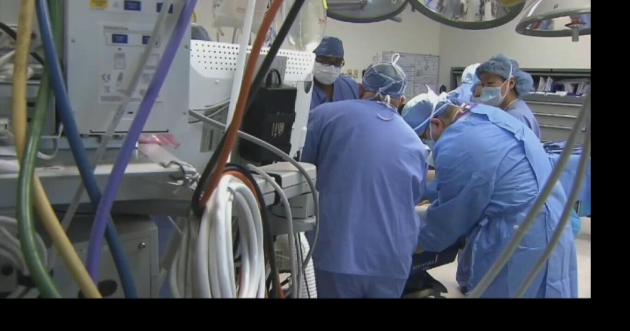 Virtual reality helping surgeons train for complicate procedures |  | wdrb.com->すべての結果