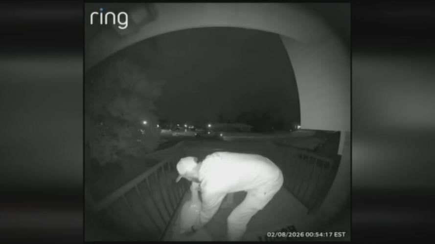 PORCH GOOSE THEFT.jpeg