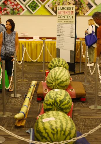 Watermelon at Kentucky State Fair.JPG