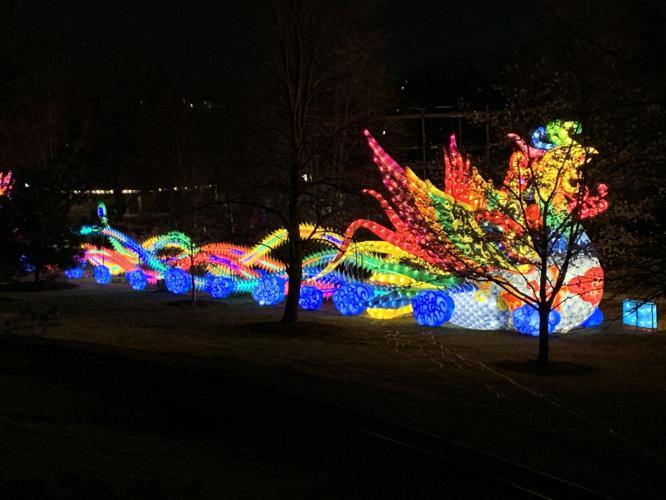 Wild Lights at Louisville Zoo